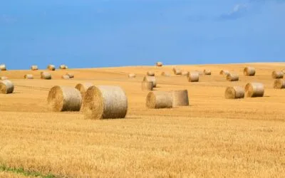 The Psychology of Scarcity 2.0: Creating Urgency Without Manipulation