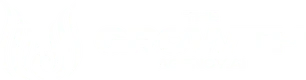 The Growth Agency