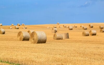 Growth Unleashed 2 The Psychology of Scarcity 2.0: Creating Urgency Without Manipulation