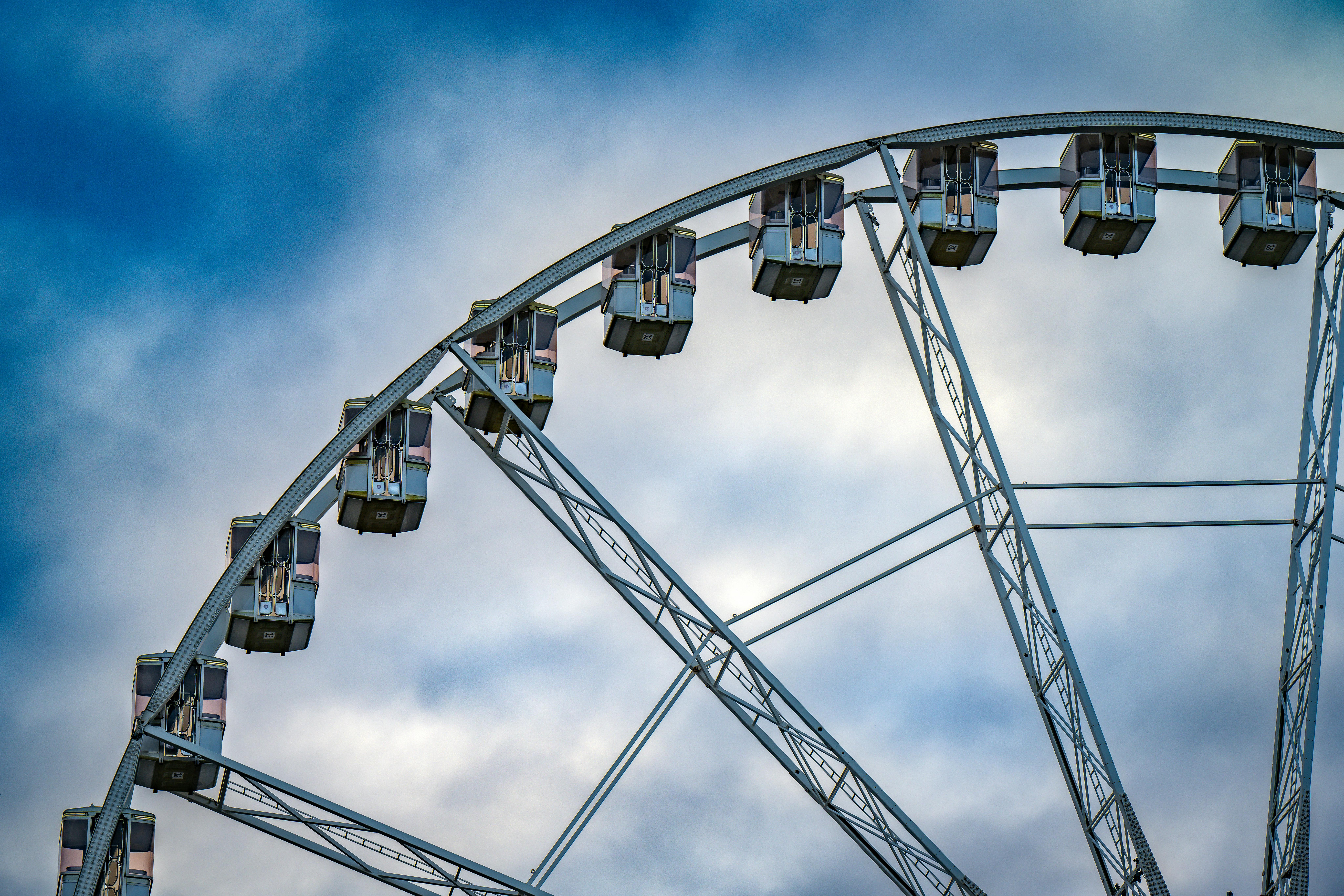 The Feedback Velocity Advantage: Closing the Loop in Under 24 Hours